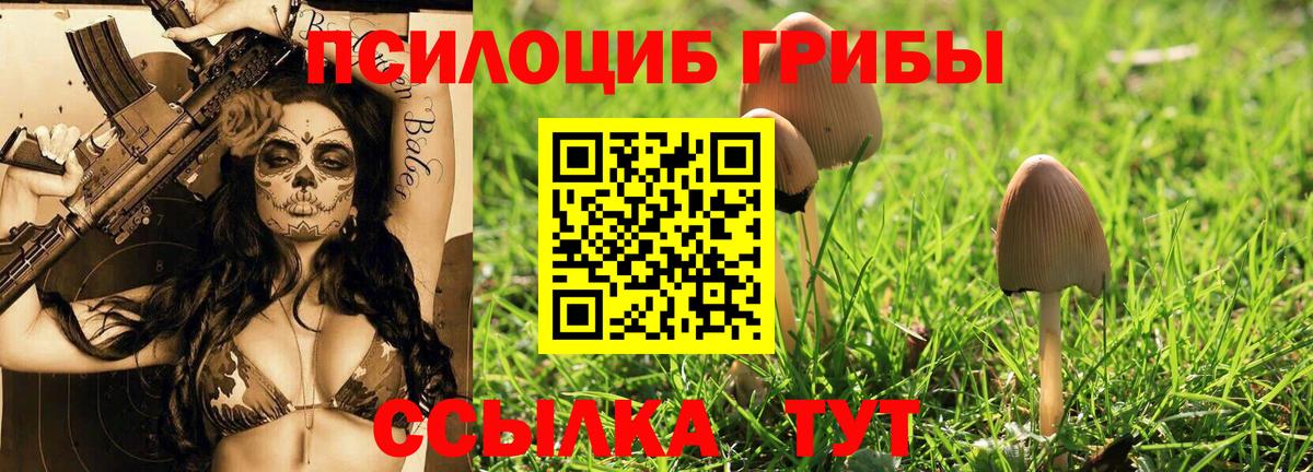 Псилоцибиновые грибы мицелий  как найти наркотики  Ртищево  Вход с VPN 
